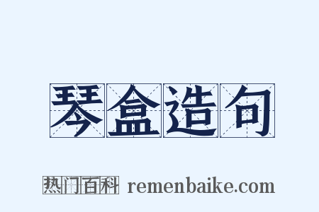 琴盒造句是什么意思的图片
